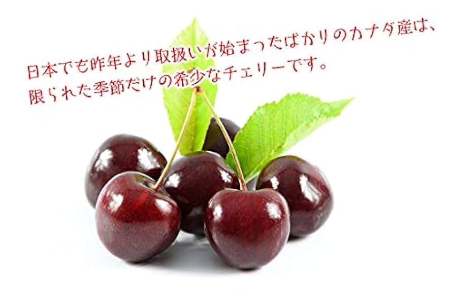 カナダ産チェリー5kgクール便爆大号 Amazon.co.jp: 超大粒果物 カナダ産チェリーさくらんぼ